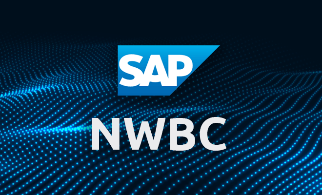 sap netweaver business client 6.0