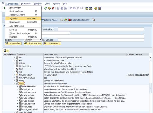 sap netweaver business client