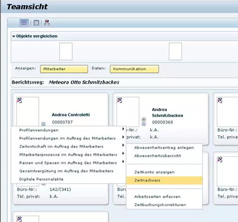 Ansicht Nakisa Org-Viewer Kontextmenü