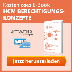 SAP Berechtigungen E-Book