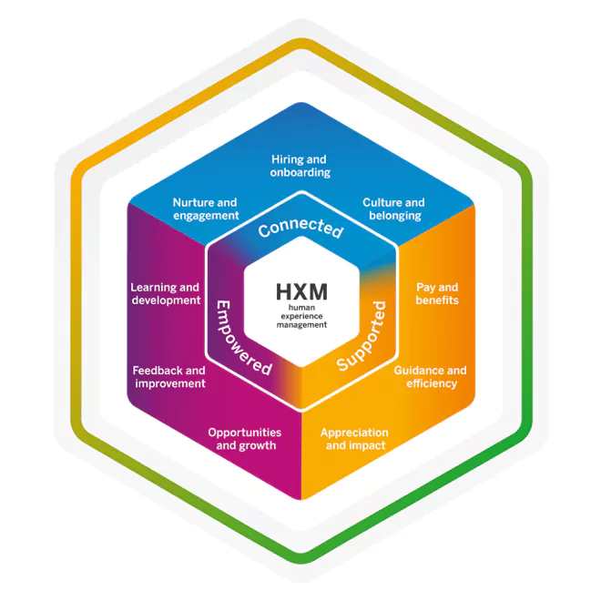 sap successfactors hxm suite