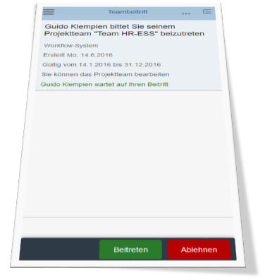 Projektteams organisieren