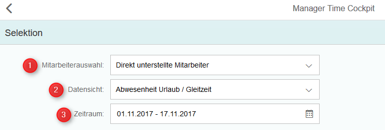 Manager Time Cockpit: Auswahlmöglichkeiten
