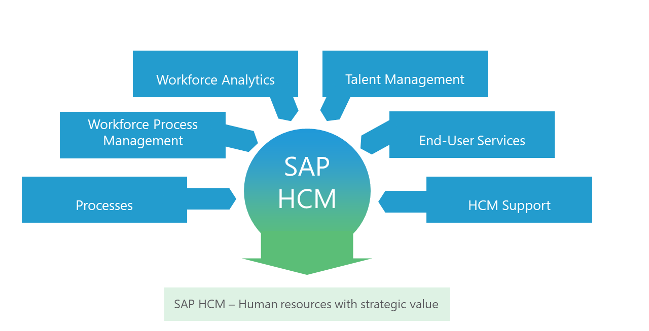 HR Software 