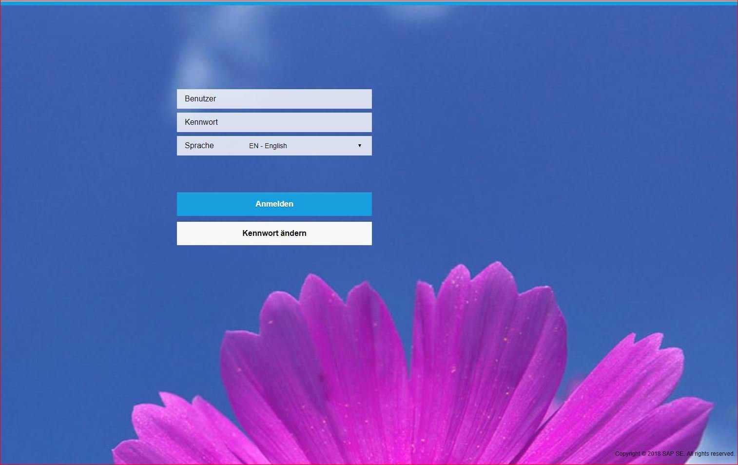 Das Fiori-Login im Standard – oft passt es nicht perfekt