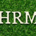 Was ist Green HRM, welche Vorteile bietet es – und wie setzen Sie nachhaltiges Personalmanagement erfolgreich um?