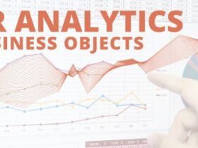 HR Analytics Business Objects