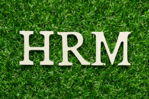 Was ist Green HRM, welche Vorteile bietet es – und wie setzen Sie nachhaltiges Personalmanagement erfolgreich um?